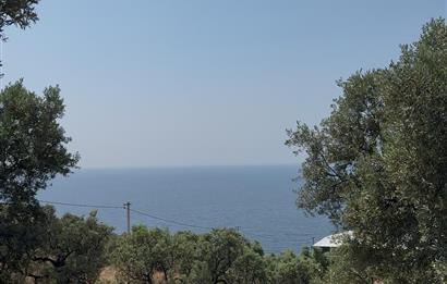 C21 Cius; Kurşunlu'da Satılık Villa İmarlı 1086 m2 Arsa