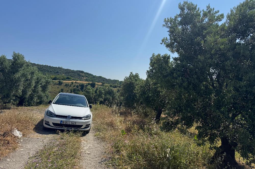 C21 Cius; Karacabey Çeşnigir 5450 m2 Satılık Tarla