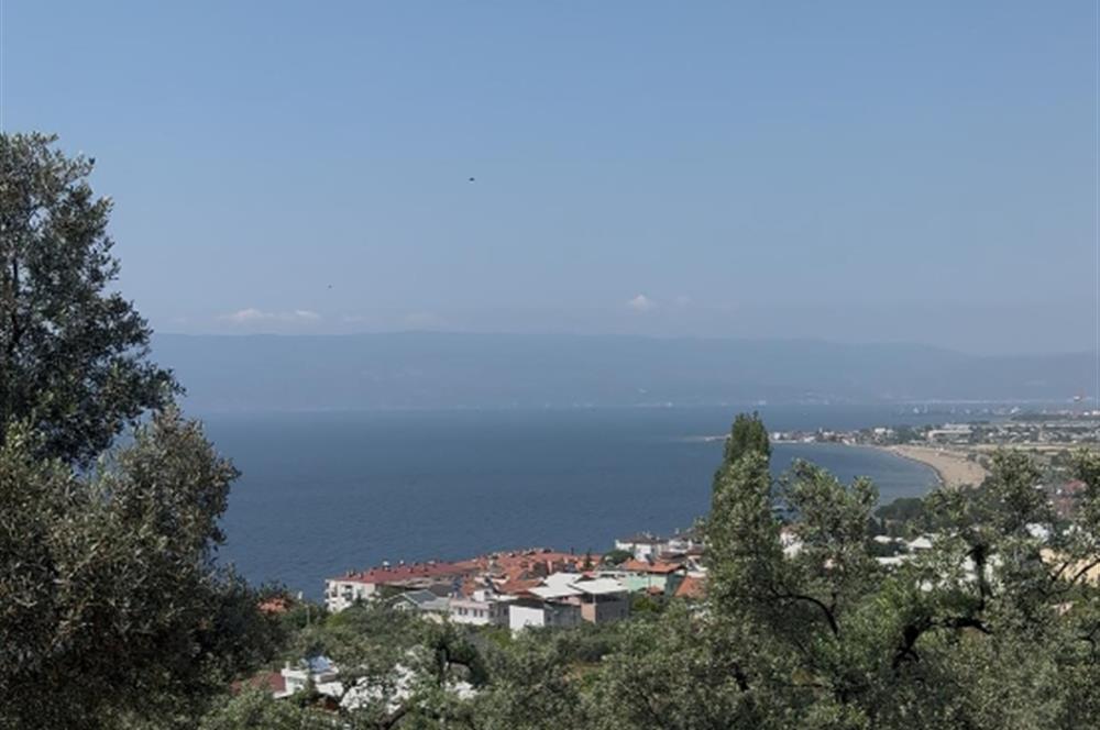 C21 Cius; Kurşunlu'da Satılık Villa İmarlı 1086 m2 Arsa
