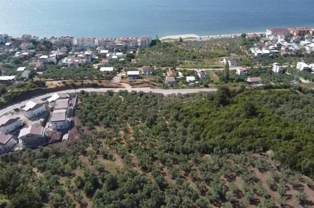 C21 Cius; Kurşunlu'da Satılık Villa İmarlı 1086 m2 Arsa