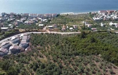 C21 Cius; Kurşunlu'da Satılık Villa İmarlı 1086 m2 Arsa