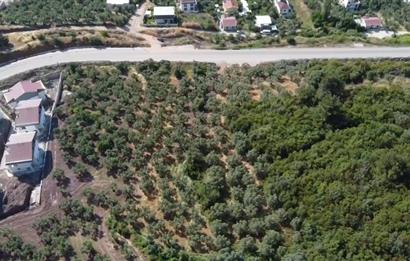 C21 Cius; Kurşunlu'da Satılık Villa İmarlı 1086 m2 Arsa