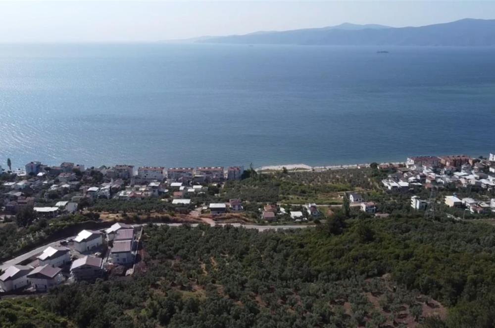 C21 Cius; Kurşunlu'da Satılık Villa İmarlı 1086 m2 Arsa