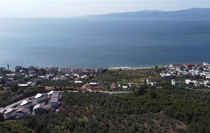 C21 Cius; Kurşunlu'da Satılık Villa İmarlı 1086 m2 Arsa