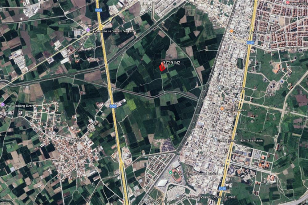 C21 BAL'dan BALIKESİR ALTIEYLÜL GÜMÜŞÇEŞME’DE SATILIK YATIRIMLIK TARLA!