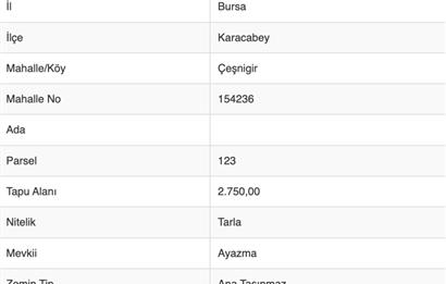 C21 Cius; Karacabey Çeşnigir 5450 m2 Satılık Tarla