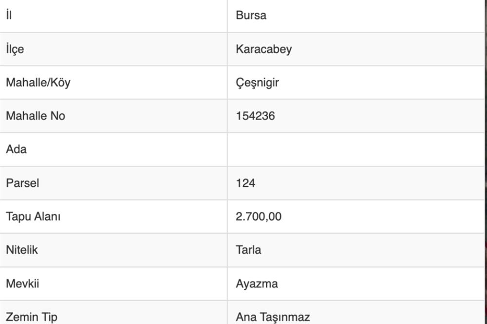 C21 Cius; Karacabey Çeşnigir 5450 m2 Satılık Tarla