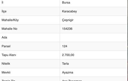 C21 Cius; Karacabey Çeşnigir 5450 m2 Satılık Tarla