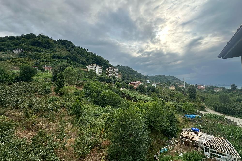 C21 Uzman'dan Arsin Güzelyalı'da Full Deniz Manzaralı 3+1