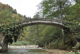 RİZE HEMŞİN KANTARLI KÖYÜN'DE 14565 M2 SATILIK TARLA