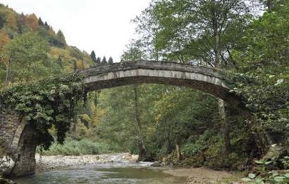 RİZE HEMŞİN KANTARLI KÖYÜN'DE 14565 M2 SATILIK TARLA
