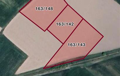 C21'DEN ÖRENCİK KÖYÜNDE 6628 m2 SATILIK TARLA