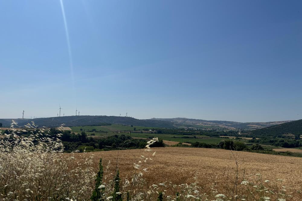 C21 Cius; Karacabey Çeşnigir 5450 m2 Satılık Tarla