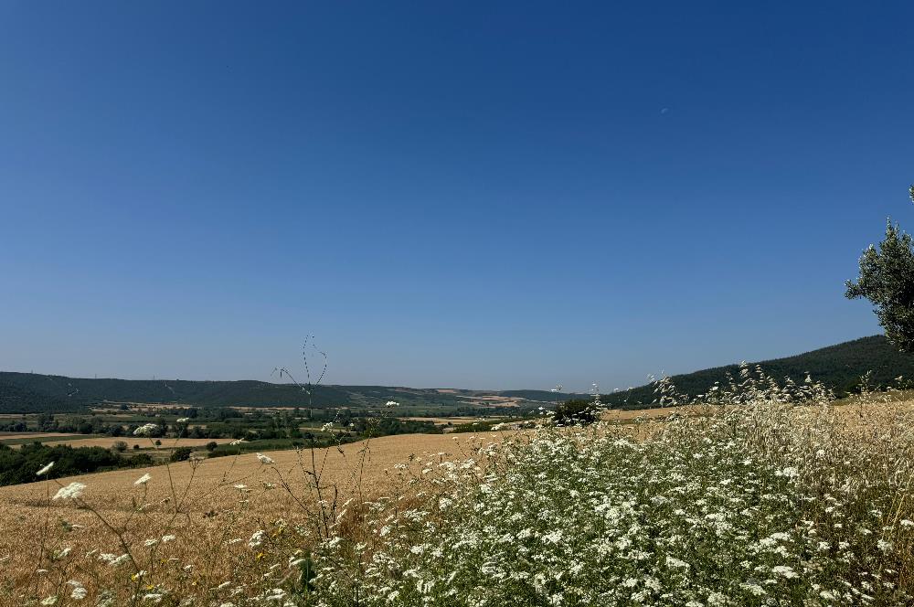 C21 Cius; Karacabey Çeşnigir 5450 m2 Satılık Tarla