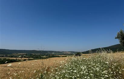 C21 Cius; Karacabey Çeşnigir 5450 m2 Satılık Tarla