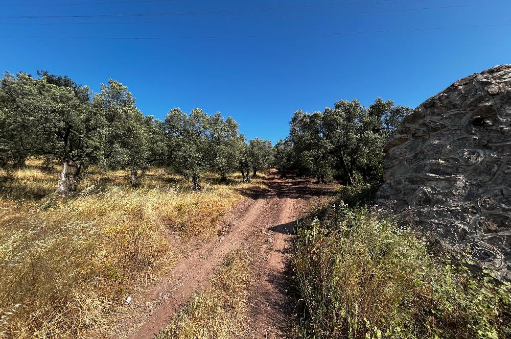 C21 Cius; Kurşunlu'da Satılık Villa İmarlı 1086 m2 Arsa