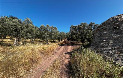 C21 Cius; Kurşunlu'da Satılık Villa İmarlı 1086 m2 Arsa