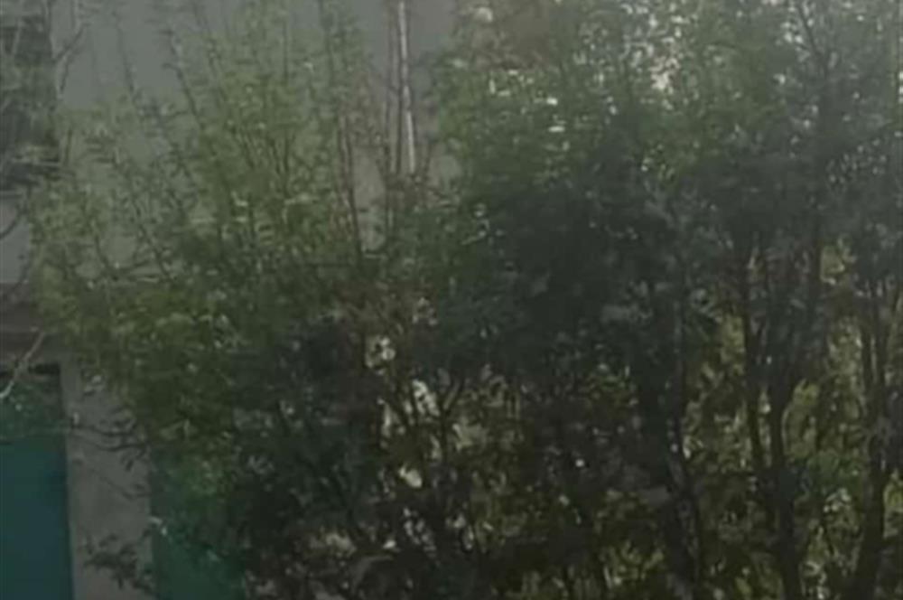 mugla milas ketendere mevkiinde satılık bahçe