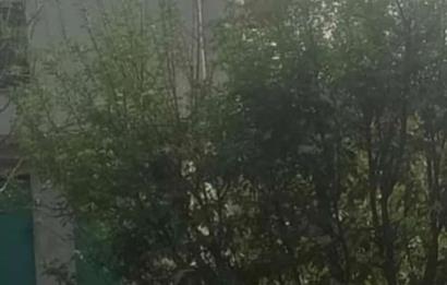 mugla milas ketendere mevkiinde satılık bahçe