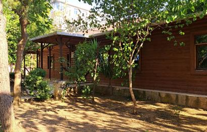 Kartal Cevizlide Arakat , Balkonlu, Geniş 3+1 Kiralık Daire