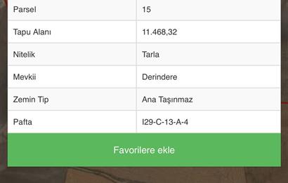 BEYNAMDA TEK TAPU 11500m ARSA