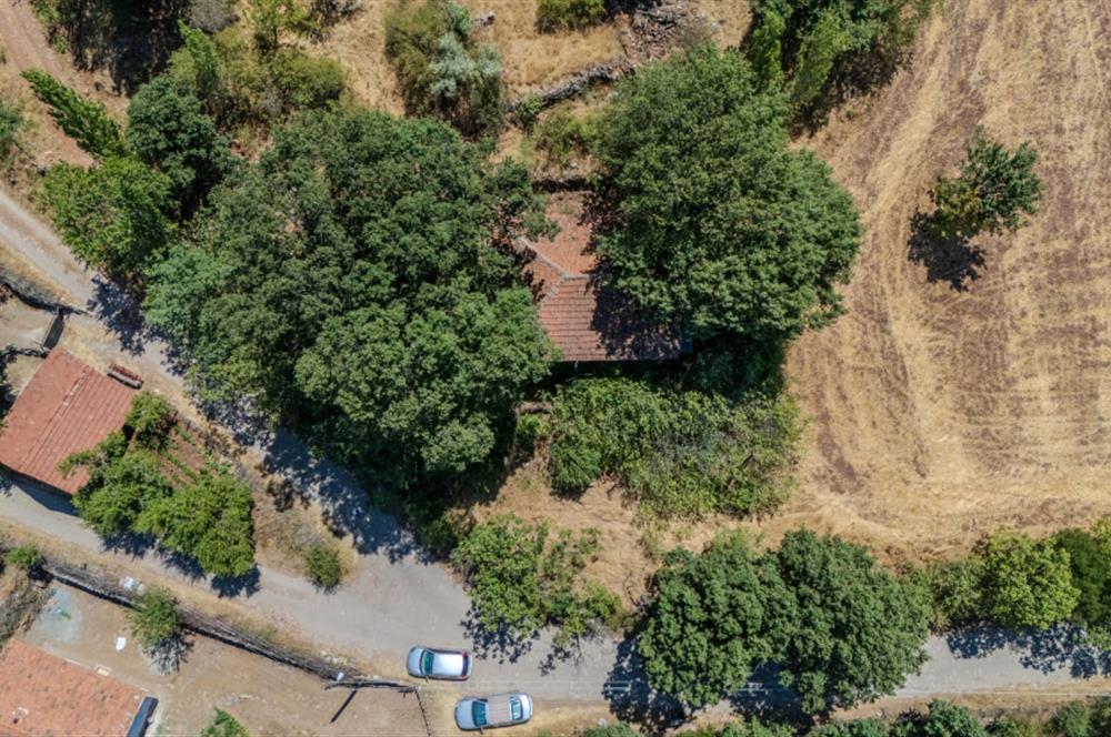 C21 LOCA'DAN KEPSUT SAYACIK MAHALLESİNDE 1229,11 M2 İMARLI ARSA