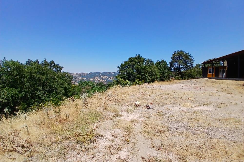 C21 LOCA'DAN KEPSUT SAYACIK MAHALLESİNDE 1523,50M2 SATILIK TARLA