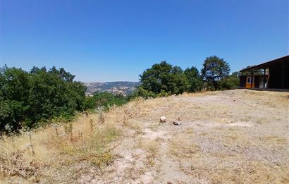 C21 LOCA'DAN KEPSUT SAYACIK MAHALLESİNDE 1523,50M2 SATILIK TARLA