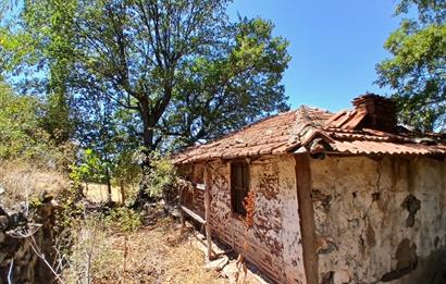C21 LOCA'DAN KEPSUT SAYACIK MAHALLESİNDE 1229,11 M2 İMARLI ARSA