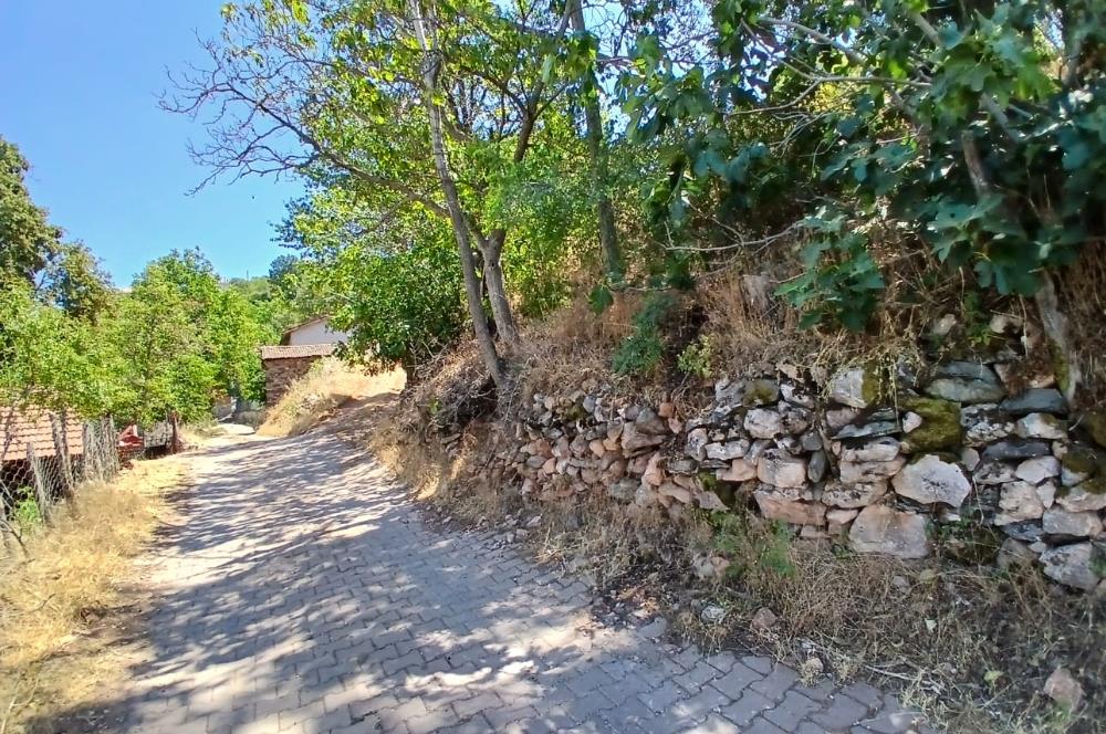 C21 LOCA'DAN KEPSUT SAYACIK MAHALLESİNDE 1229,11 M2 İMARLI ARSA