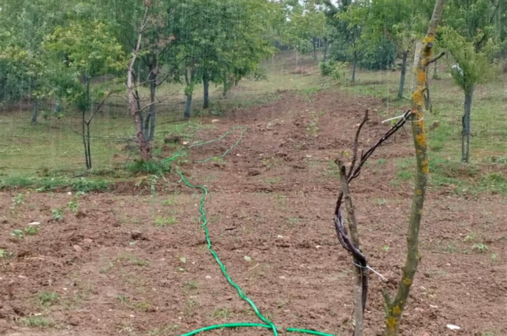 KANDIRA DA , İÇİNDE YAPI KAYIT BELGELİ EV OLAN 1.886 m2 TARLA