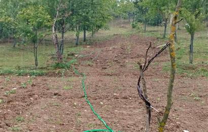 KANDIRA DA , İÇİNDE YAPI KAYIT BELGELİ EV OLAN 1.886 m2 TARLA