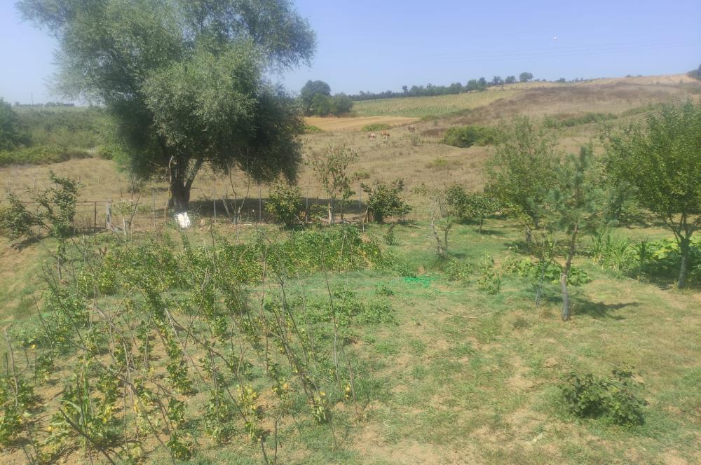KANDIRA DA , İÇİNDE YAPI KAYIT BELGELİ EV OLAN 1.886 m2 TARLA