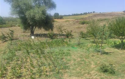 KANDIRA DA , İÇİNDE YAPI KAYIT BELGELİ EV OLAN 1.886 m2 TARLA