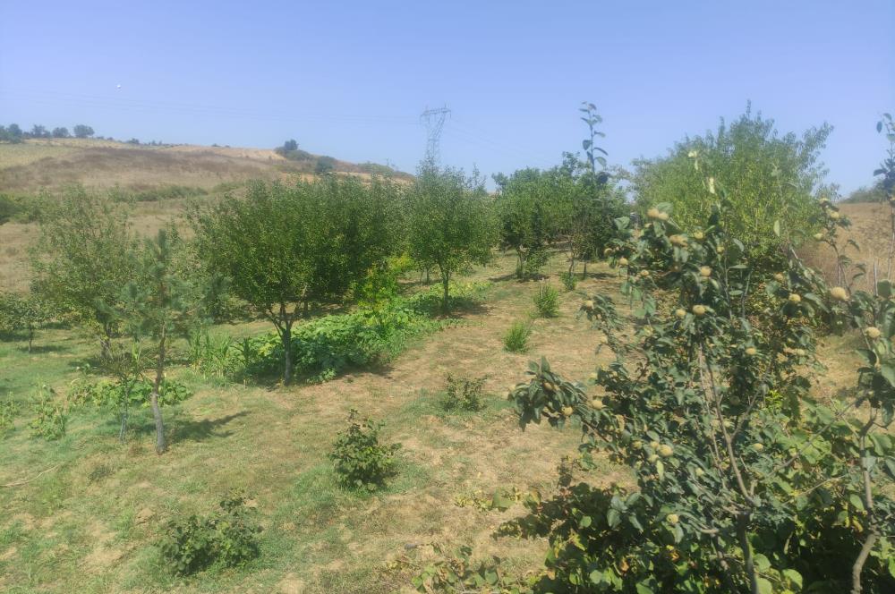 KANDIRA DA , İÇİNDE YAPI KAYIT BELGELİ EV OLAN 1.886 m2 TARLA