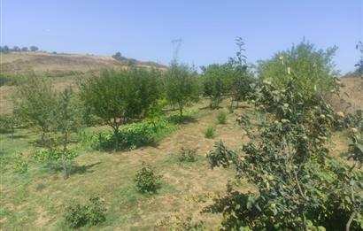 KANDIRA DA , İÇİNDE YAPI KAYIT BELGELİ EV OLAN 1.886 m2 TARLA