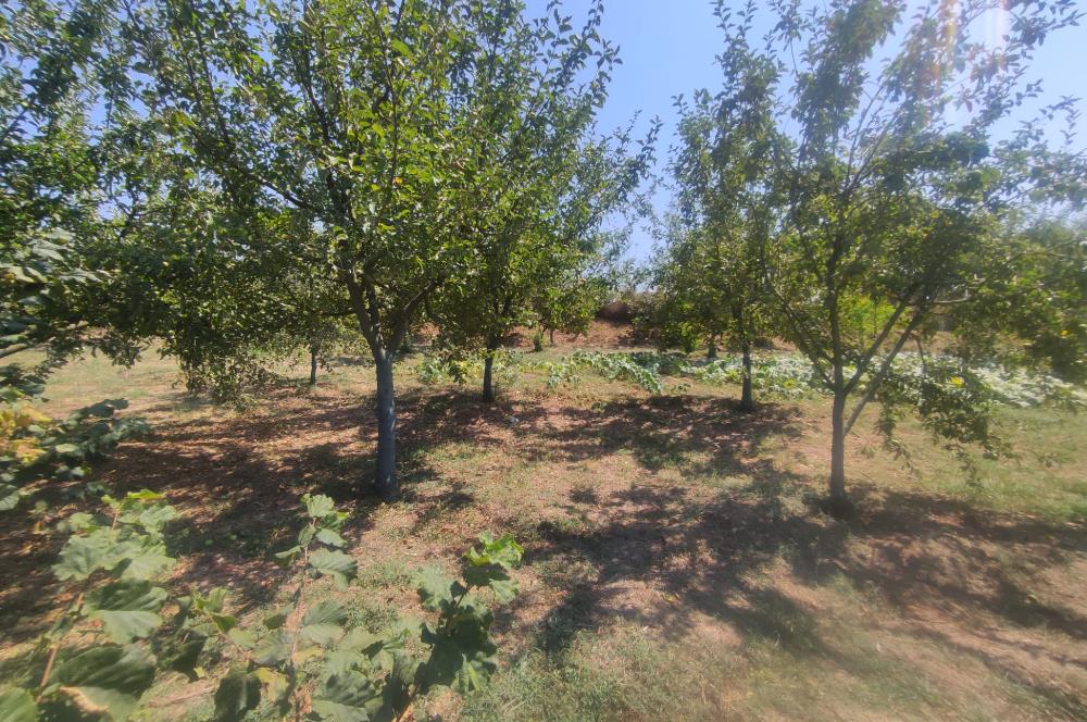 KANDIRA DA , İÇİNDE YAPI KAYIT BELGELİ EV OLAN 1.886 m2 TARLA