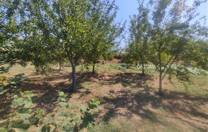 KANDIRA DA , İÇİNDE YAPI KAYIT BELGELİ EV OLAN 1.886 m2 TARLA