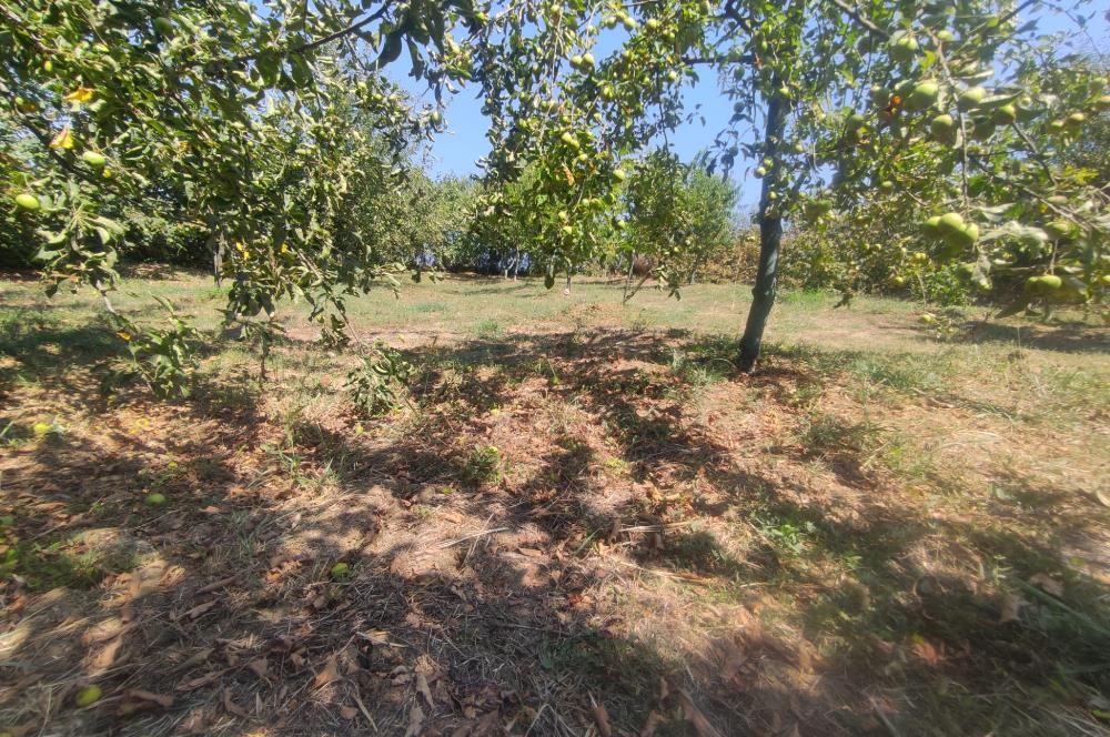 KANDIRA DA , İÇİNDE YAPI KAYIT BELGELİ EV OLAN 1.886 m2 TARLA