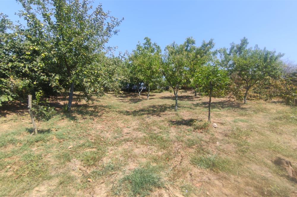 KANDIRA DA , İÇİNDE YAPI KAYIT BELGELİ EV OLAN 1.886 m2 TARLA