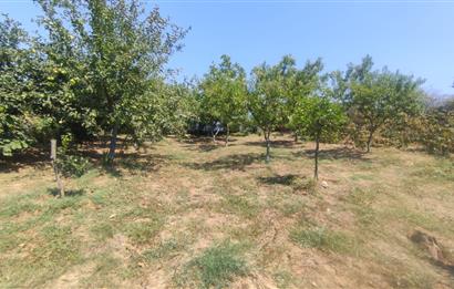 KANDIRA DA , İÇİNDE YAPI KAYIT BELGELİ EV OLAN 1.886 m2 TARLA