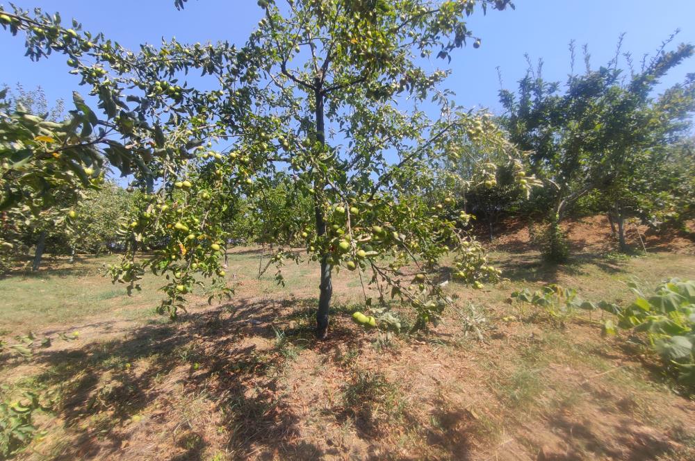 KANDIRA DA , İÇİNDE YAPI KAYIT BELGELİ EV OLAN 1.886 m2 TARLA