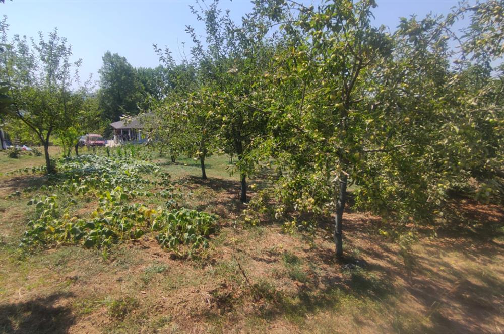 KANDIRA DA , İÇİNDE YAPI KAYIT BELGELİ EV OLAN 1.886 m2 TARLA