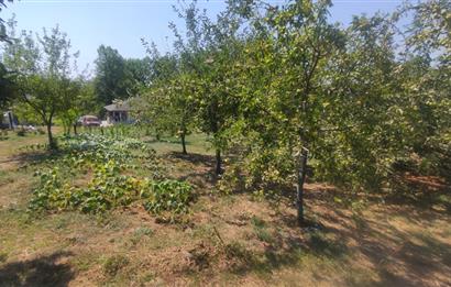 KANDIRA DA , İÇİNDE YAPI KAYIT BELGELİ EV OLAN 1.886 m2 TARLA