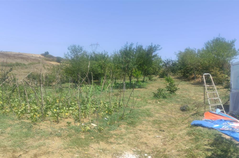 KANDIRA DA , İÇİNDE YAPI KAYIT BELGELİ EV OLAN 1.886 m2 TARLA