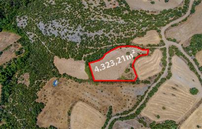 C21 LOCA'DAN KEPSUT SAYACIK MAHALLESİNDE 4323,21M2 SATILIK TARLA