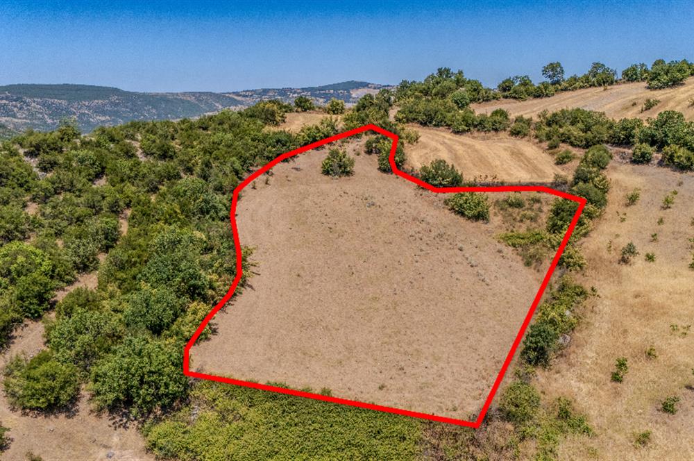 C21 LOCA'DAN KEPSUT SAYACIK MAHALLESİNDE 4323,21M2 SATILIK TARLA