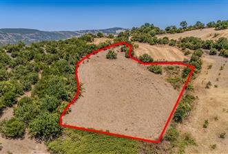 C21 LOCA'DAN KEPSUT SAYACIK MAHALLESİNDE 4323,21M2 SATILIK TARLA