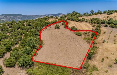 C21 LOCA'DAN KEPSUT SAYACIK MAHALLESİNDE 4323,21M2 SATILIK TARLA