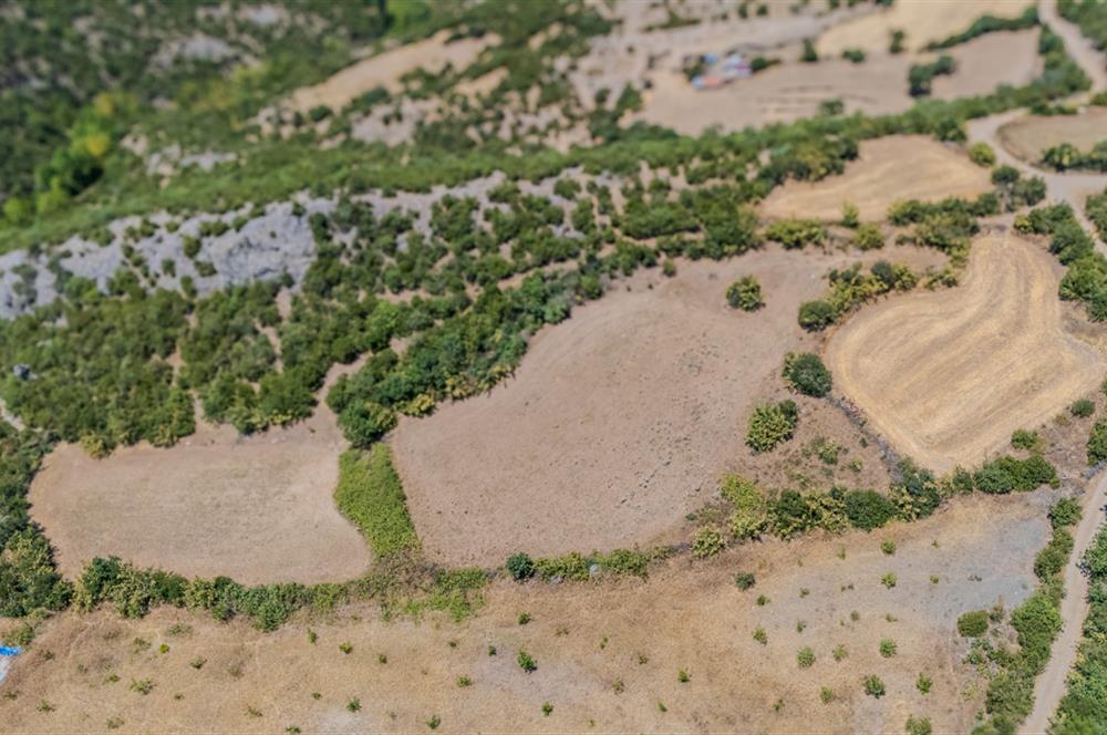 C21 LOCA'DAN KEPSUT SAYACIK MAHALLESİNDE 4323,21M2 SATILIK TARLA